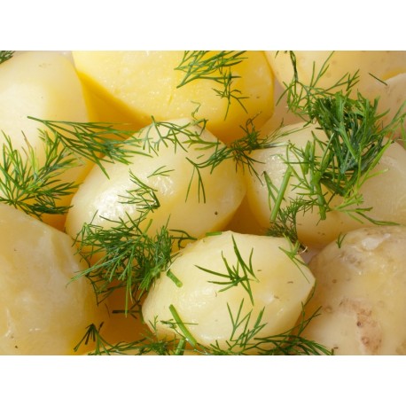 Ziemniaczki z koperkiem