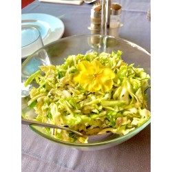 Surówka z bialej kapusty